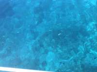 Great day of scuba diving in Key Largo with Rainbow Reef on eagle ray alley tropical legend 2019 07 23 r8594 1