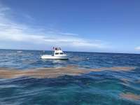 Great day of scuba diving in Key Largo with Rainbow Reef on eagle ray alley tropical odyssey 2019 07 20 r8582 1