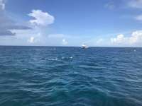 Great day of scuba diving in Key Largo with Rainbow Reef on fire coral cave santana 2019 07 31 r8632 1