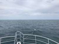 Great day of scuba diving in Key Largo with Rainbow Reef on french reef tropical legend 2019 07 09 r8539 1