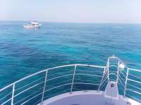 Great day of scuba diving in Key Largo with Rainbow Reef on molasses reef tropical legend 2019 07 03 r8514 1