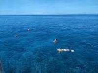 Great day of scuba diving in Key Largo with Rainbow Reef on north star santana 2019 07 01 r8505 1