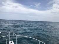 Great day of scuba diving in Key Largo with Rainbow Reef on snapper ledge tropical serenity 2019 07 06 r8531 1