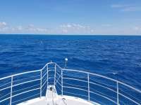 Great day of scuba diving in Key Largo with Rainbow Reef on spiegel grove tropical odyssey 2019 07 02 r8509 1