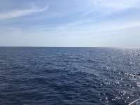 Great day of scuba diving in Key Largo with Rainbow Reef on spiegel grove tropical odyssey 2019 07 04 r8522 1