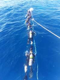Great day of scuba diving in Key Largo with Rainbow Reef on uscgc duane tropical destiny 2019 07 02 r8508 1