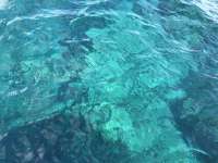 Great day of scuba diving in Key Largo with Rainbow Reef on winch hole tropical legend 2019 07 29 r8620 1