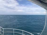 Great day of scuba diving in Key Largo with Rainbow Reef on benwood wreck tropical odyssey 2019 06 17 r8441 1