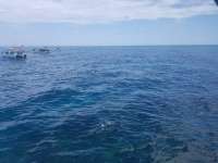 Great day of scuba diving in Key Largo with Rainbow Reef on christ statue tropical adventure 2019 06 30 r8499 1