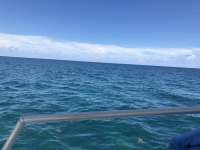 Great day of scuba diving in Key Largo with Rainbow Reef on christmastree cave tropical destiny 2019 06 12 r8418 1