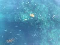 Great day of scuba diving in Key Largo with Rainbow Reef on christmastree cave tropical legend 2019 06 25 r8469 1