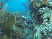 Great day of scuba diving in Key Largo with Rainbow Reef on drift french santana 2019 06 08 r8395 1