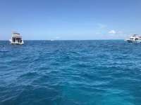 Great day of scuba diving in Key Largo with Rainbow Reef on drift molasses tropical legend 2019 06 03 r8372 1