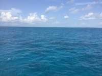 Great day of scuba diving in Key Largo with Rainbow Reef on eagle ray alley tropical legend 2019 06 27 r8481 1