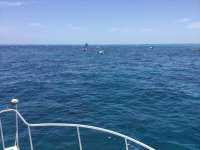 Great day of scuba diving in Key Largo with Rainbow Reef on molasses reef tropical serenity 2019 06 23 r8459 1