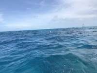 Great day of scuba diving in Key Largo with Rainbow Reef on north star tropical serenity 2019 06 29 r8489 1