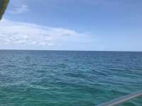 Great day of scuba diving in Key Largo with Rainbow Reef on pickle barrel wreck santana 2019 06 13 r8426 1