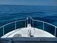 Great day of scuba diving in Key Largo with Rainbow Reef on pickle barrel wreck tropical serenity 2019 06 04 r8378 1