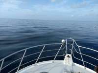 Great day of scuba diving in Key Largo with Rainbow Reef on spiegel grove tropical adventure 2019 06 23 r8456 1