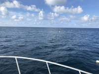 Great day of scuba diving in Key Largo with Rainbow Reef on spiegel grove tropical destiny 2019 06 12 r8416 1