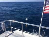 Great day of scuba diving in Key Largo with Rainbow Reef on uscgc duane tropical destiny 2019 06 01 r8361 1