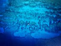 Great day of scuba diving in Key Largo with Rainbow Reef on winch hole tropical legend 2019 06 29 r8492 1