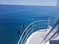 Great day of scuba diving in Key Largo with Rainbow Reef on benwood wreck tropical legend 2019 03 12 r7956 1