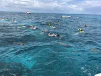 Great day of scuba diving in Key Largo with Rainbow Reef on christ statue tropical destiny 2019 03 30 r8044 1
