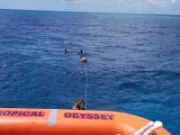 Great day of scuba diving in Key Largo with Rainbow Reef on christmastree cave tropical odyssey 2019 03 30 r8045 1