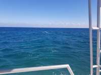 Great day of scuba diving in Key Largo with Rainbow Reef on conch wall tropical odyssey 2019 03 06 r7922 1