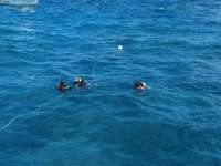 Great day of scuba diving in Key Largo with Rainbow Reef on eagle ray alley santana 2019 03 11 r7949 2