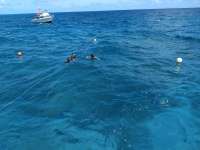 Great day of scuba diving in Key Largo with Rainbow Reef on eagle ray alley santana 2019 03 11 r7950 1