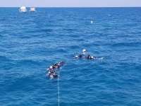 Great day of scuba diving in Key Largo with Rainbow Reef on eagle ray alley santana 2019 03 15 r7968 1