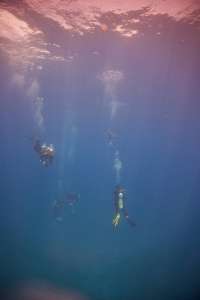 Great day of scuba diving in Key Largo with Rainbow Reef on eagle ray alley santana 2019 03 27 r8028 3