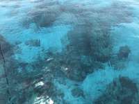 Great day of scuba diving in Key Largo with Rainbow Reef on eagle ray alley tropical legend 2019 03 17 r7983 1