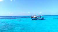 Great day of scuba diving in Key Largo with Rainbow Reef on eagle ray alley tropical legend 2019 03 25 r8017 1