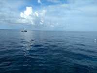 Great day of scuba diving in Key Largo with Rainbow Reef on eagle ray alley tropical serenity 2019 03 17 r7981 1