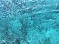 Great day of scuba diving in Key Largo with Rainbow Reef on eagle ray alley tropical serenity 2019 03 23 r8007 1