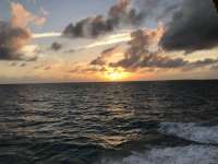 Great day of scuba diving in Key Largo with Rainbow Reef on fire coral cave tropical destiny 2019 03 09 r7940 1