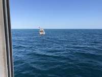 Great day of scuba diving in Key Largo with Rainbow Reef on french reef tropical voyager 2019 03 12 r7955 1