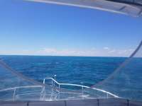 Great day of scuba diving in Key Largo with Rainbow Reef on minnow cave tropical legend 2019 03 27 r8030 1