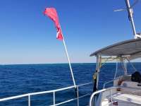 Great day of scuba diving in Key Largo with Rainbow Reef on molasses reef santana 2019 03 23 r8008 1