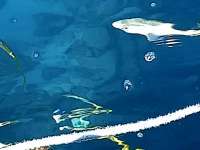 Great day of scuba diving in Key Largo with Rainbow Reef on molasses reef tropical destiny 2019 03 02 r7896 1