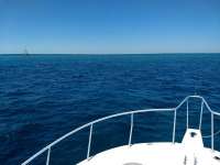 Great day of scuba diving in Key Largo with Rainbow Reef on north star tropical serenity 2019 03 22 r8001 1
