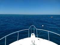 Great day of scuba diving in Key Largo with Rainbow Reef on north star tropical serenity 2019 03 22 r8001 2