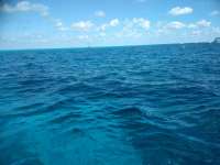 Great day of scuba diving in Key Largo with Rainbow Reef on permit ledges santana 2019 03 01 r7888 1