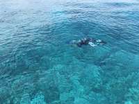 Great day of scuba diving in Key Largo with Rainbow Reef on snapper ledge tropical serenity 2019 03 23 r8010 1