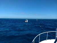 Great day of scuba diving in Key Largo with Rainbow Reef on spanish anchor tropical serenity 2019 03 21 r7995 1