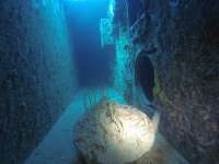 Great day of scuba diving in Key Largo with Rainbow Reef on spiegel grove tropical odyssey 2019 03 23 r8006 1