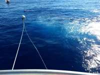 Great day of scuba diving in Key Largo with Rainbow Reef on uscgc duane tropical destiny 2019 03 02 r7893 1